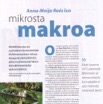 Ol-Lehti 6-7-2015 s1.jpg